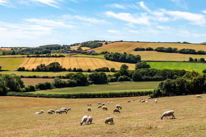 IHT - Agricultural Property Relief and Business Property Relief